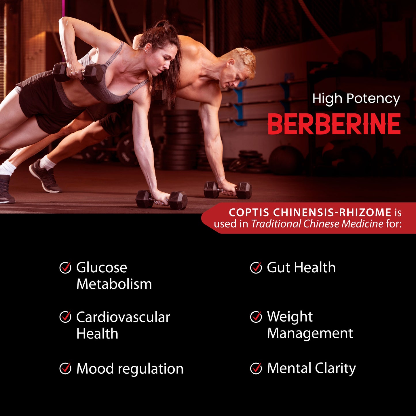 Yoga Aura 100% PURE Berberine