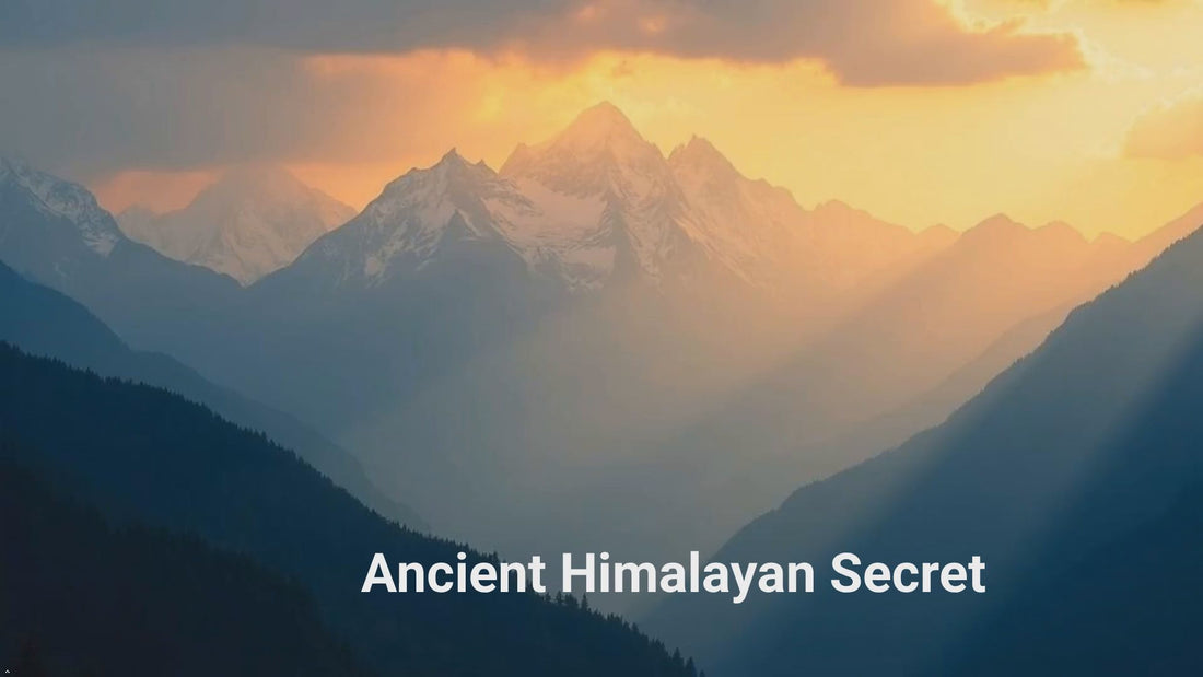 Yoga Aura 100% Pure Shilajit – 500 mg, 50% Fulvic Acid | Lab-Tested with COA | Canada &amp; USA | Health Canada Licensed NPN 